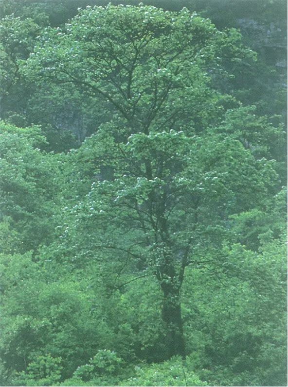 1650440429671509.jpg 1.jpg