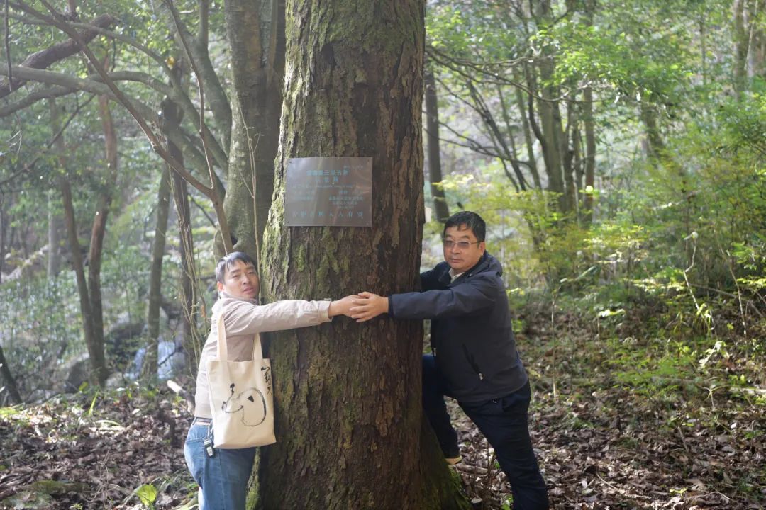 1650440499352468.jpg 2.jpg