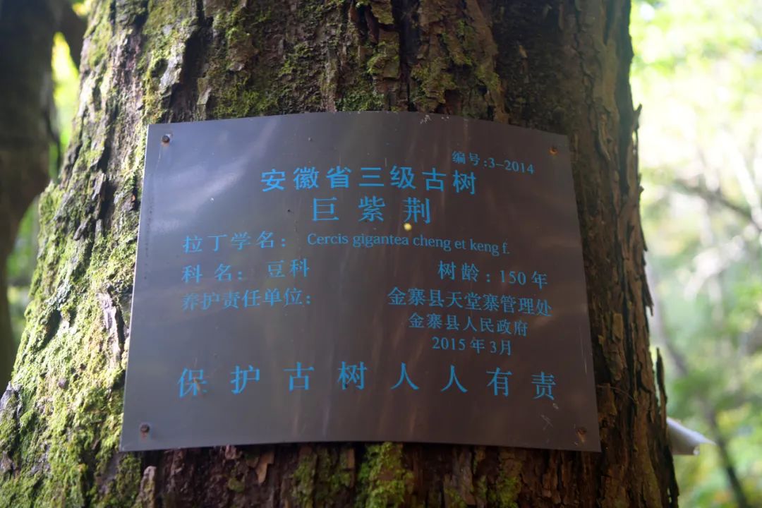 1650440548941172.jpg 3.jpg