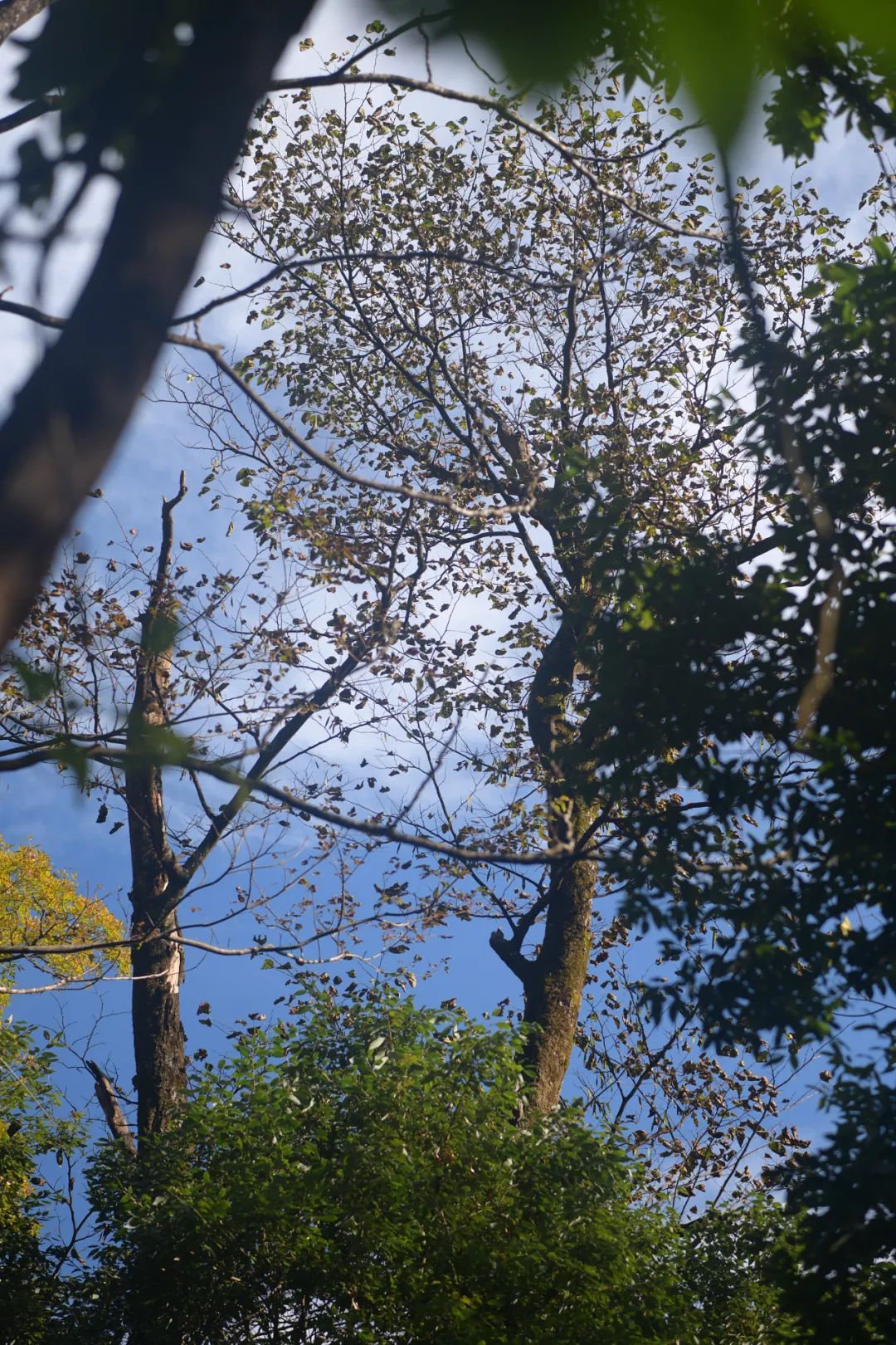 1650440868152254.jpg 5.jpg