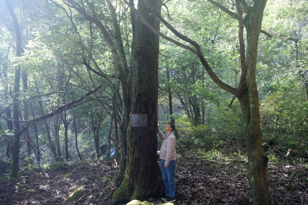 1650441014622710.jpg 7.jpg