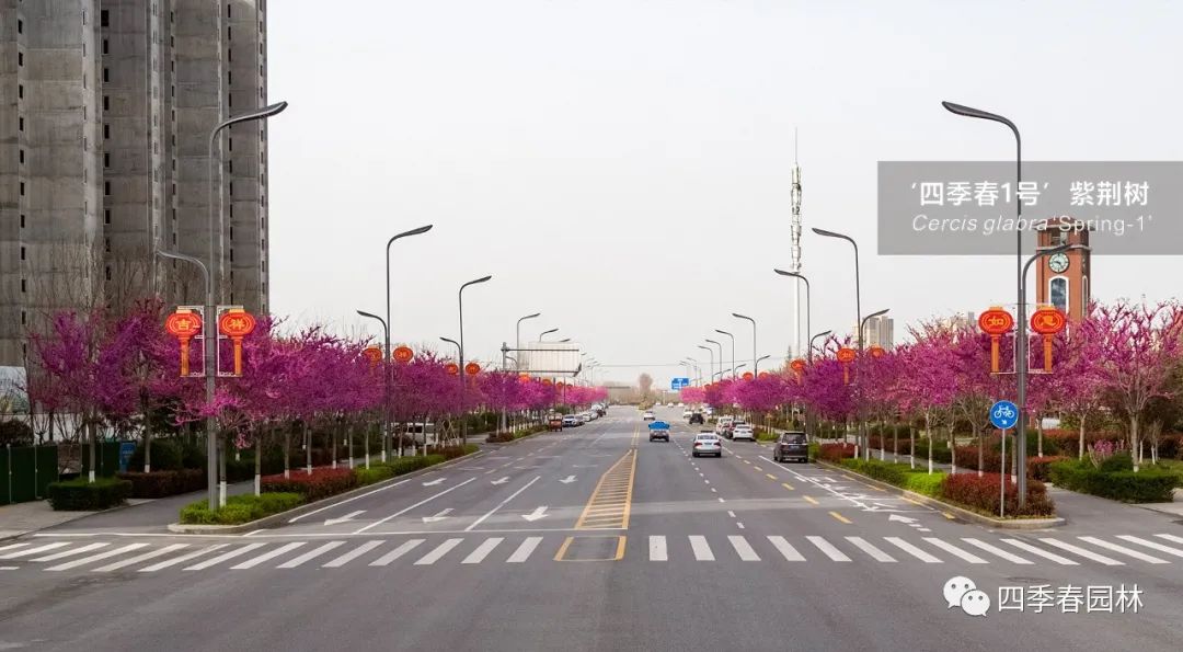 1651047476767537.jpg 2.jpg