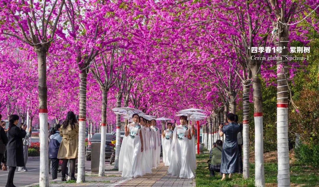 1651116556185222.jpg 02.jpg