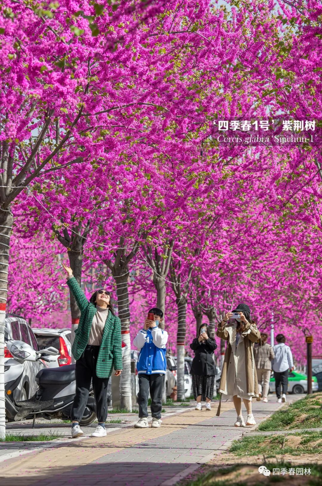 1651116585897663.jpg 04.jpg