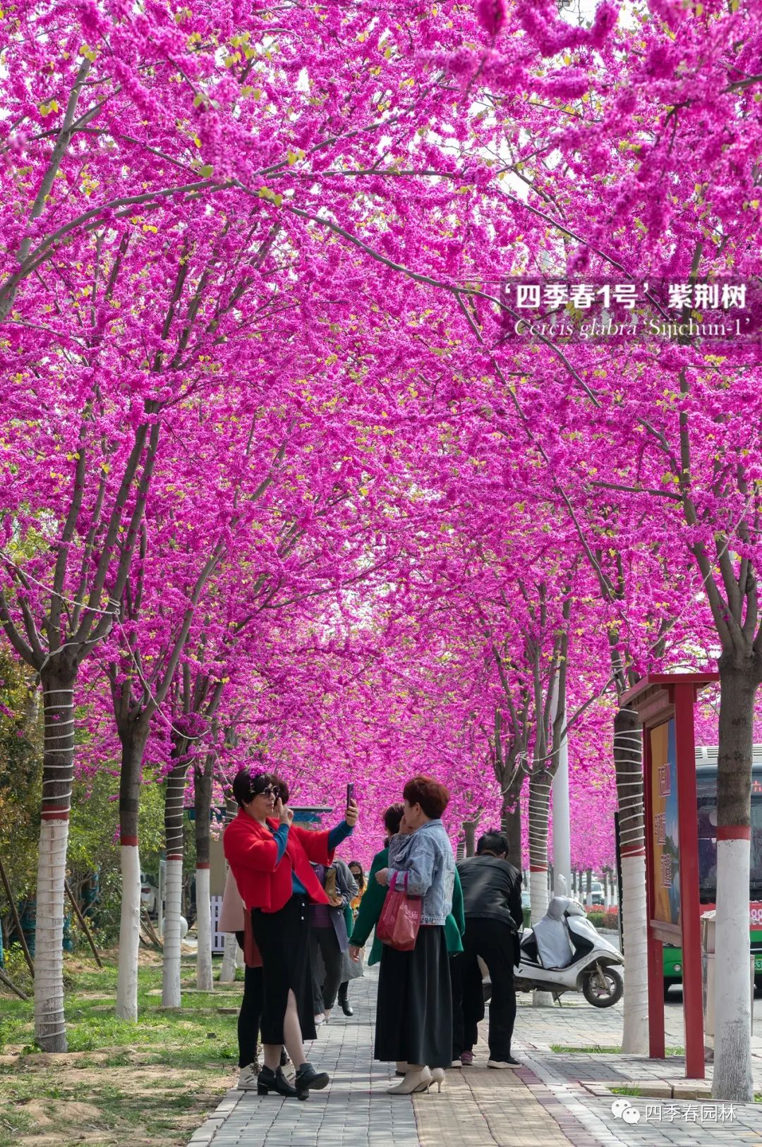 1651116600197125.jpg 05.jpg