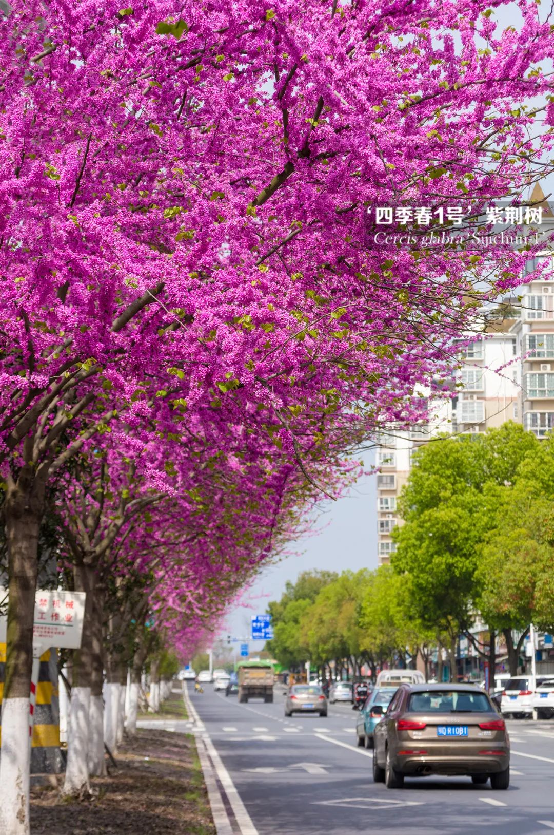 1673594046295167.jpg 1.jpg