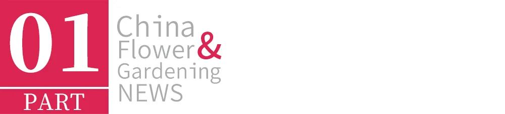 1673594057510520.jpg 2.jpg