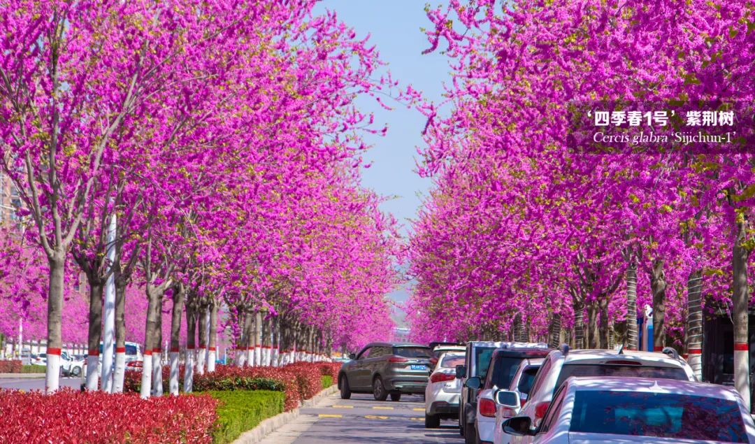 1673594079920925.jpg 3.jpg