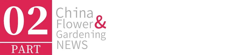 1673594108320558.jpg 4-1.jpg