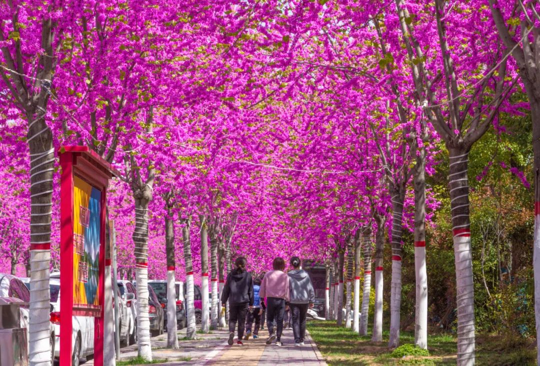 1673594178685242.jpg 5.jpg