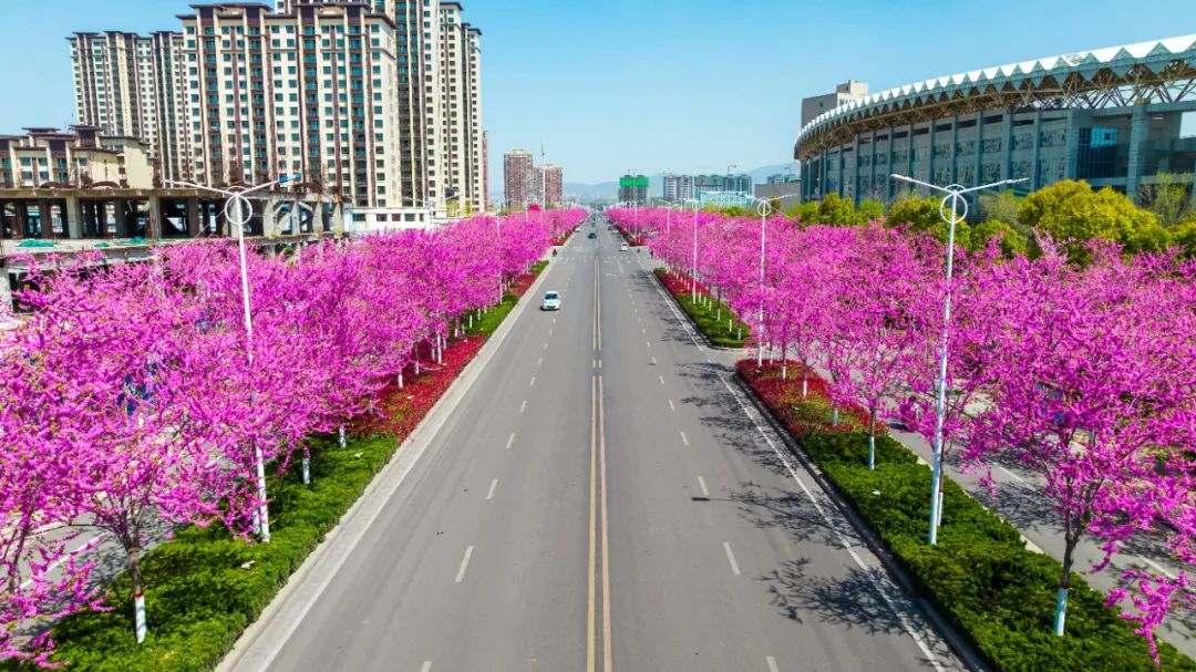 1673594191829042.jpg 6.jpg