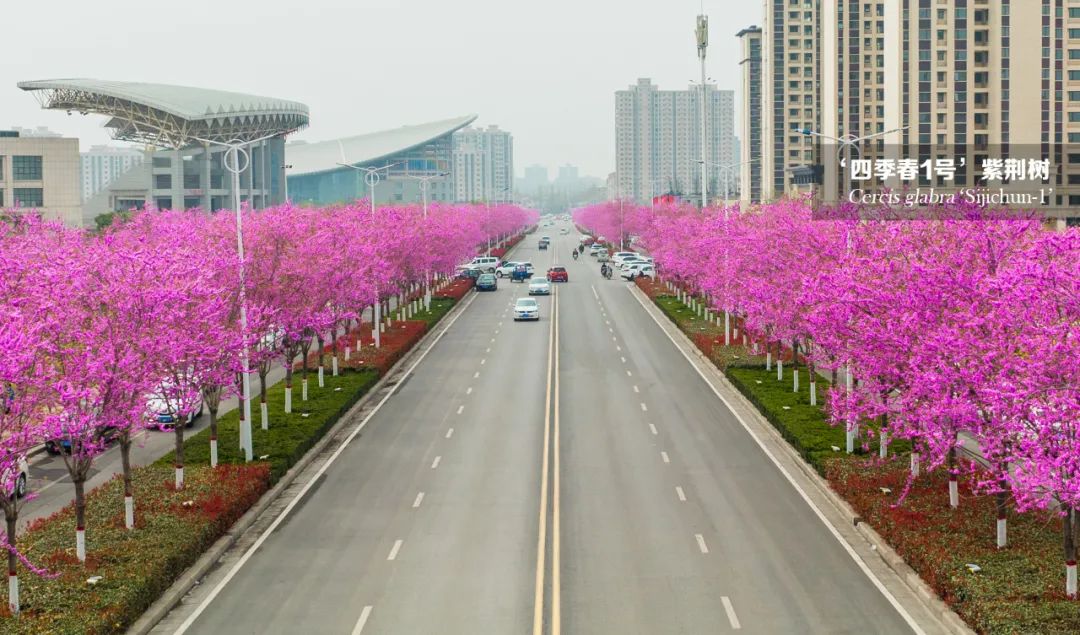 1673936609874415.jpg 微信圖片_20230117142212.jpg