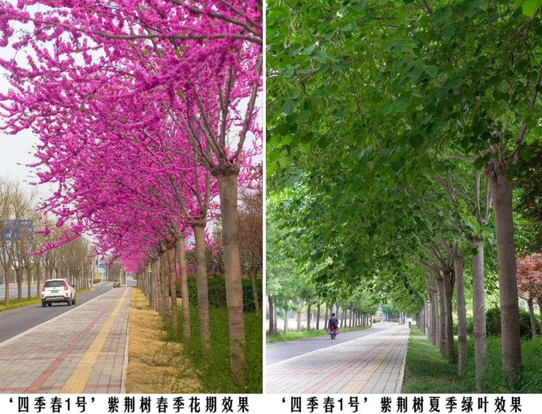 1674024465703104.jpg 微信圖片_20230118144001.jpg