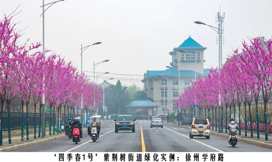 1674024653926576.jpg 微信圖片_20230118144040.jpg