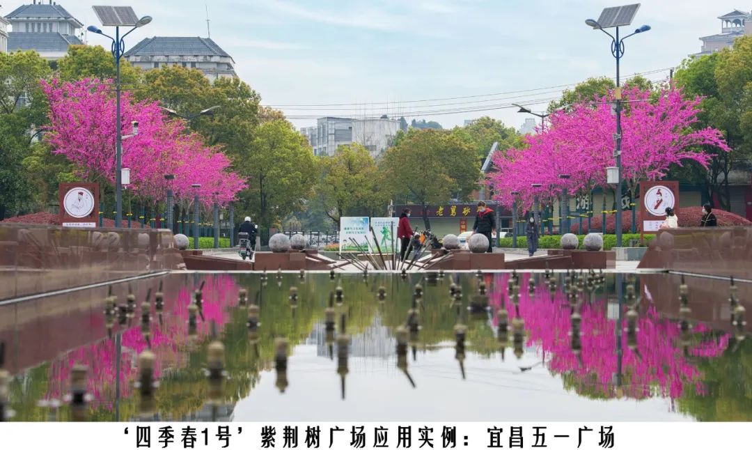 1674024710102510.jpg 微信圖片_20230118144059.jpg