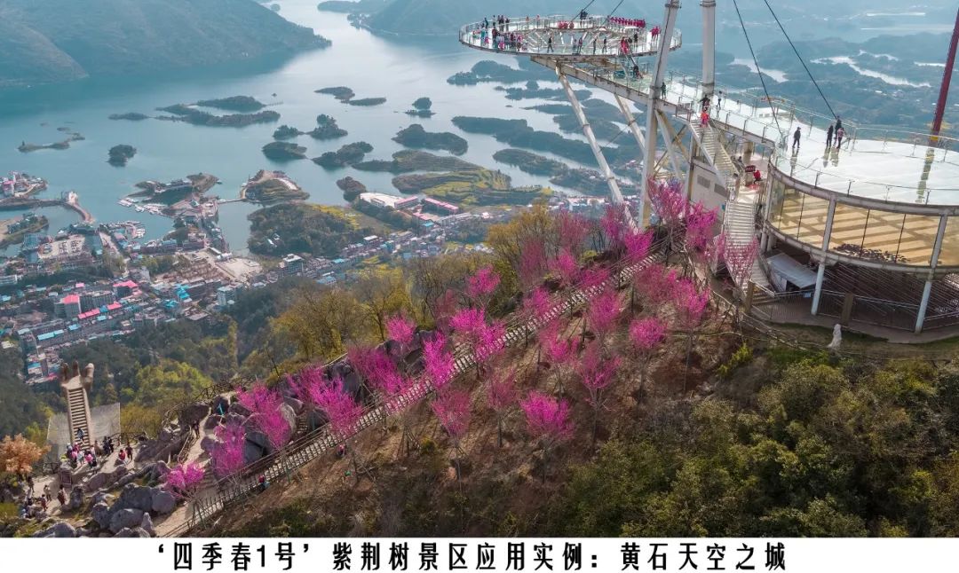 1674024768633103.jpg 微信圖片_20230118144110.jpg