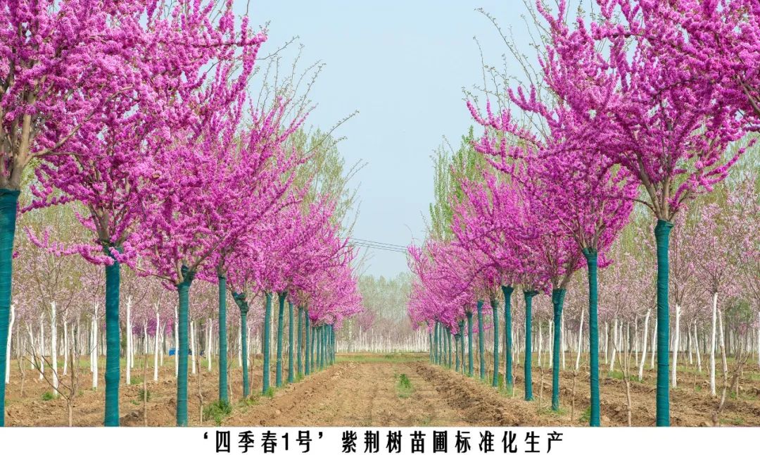 1674024777811702.jpg 微信圖片_20230118144115.jpg