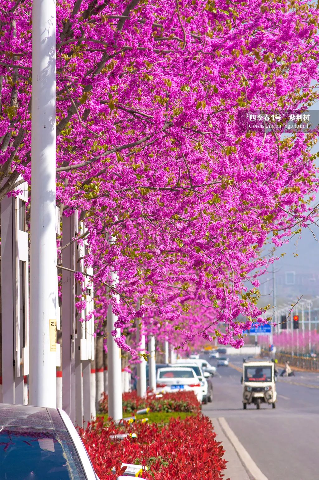 1676341531587040.jpg 微信圖片_20230214102344.jpg