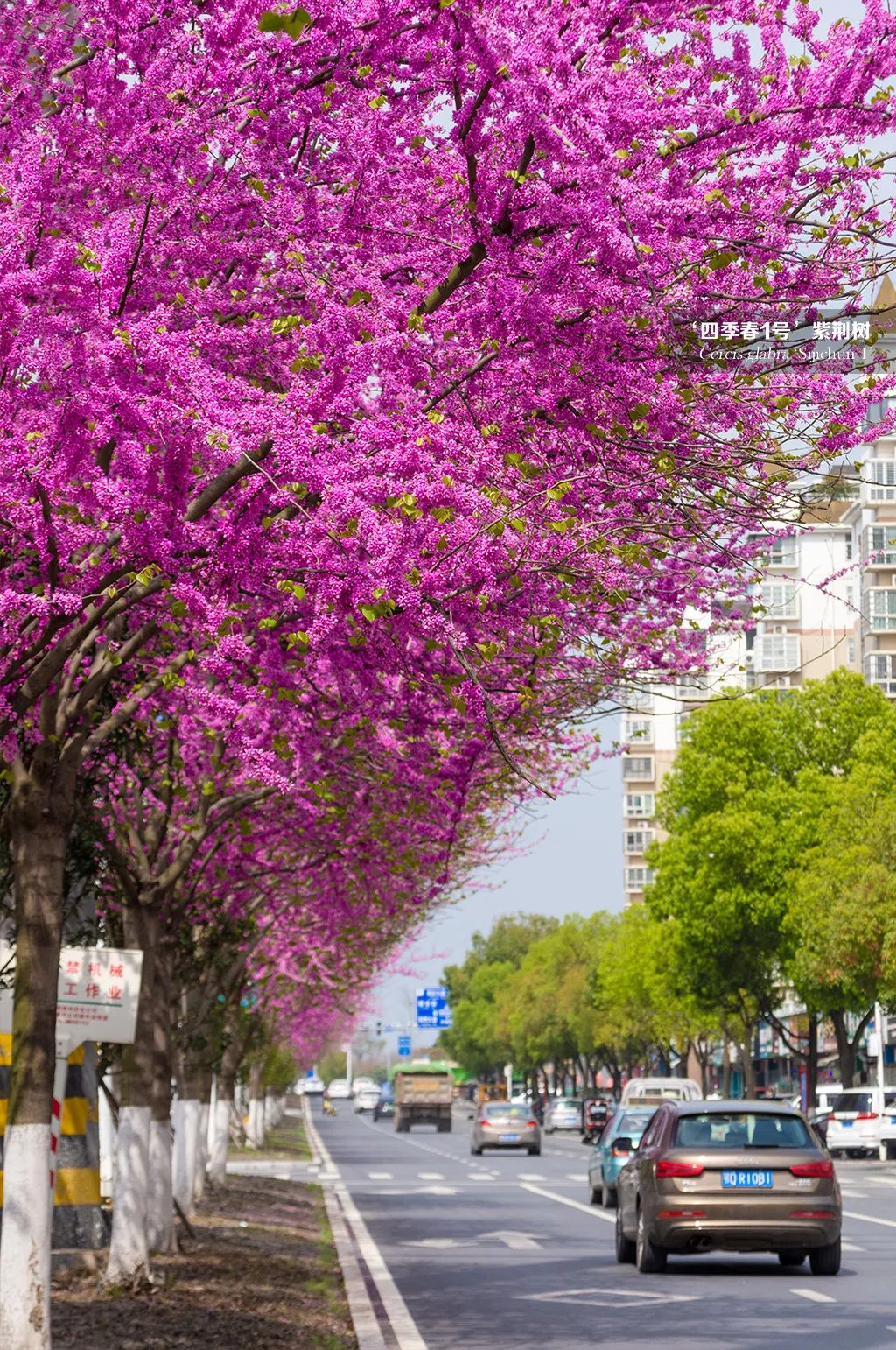 1676341555833500.jpg 微信圖片_20230214102400.jpg