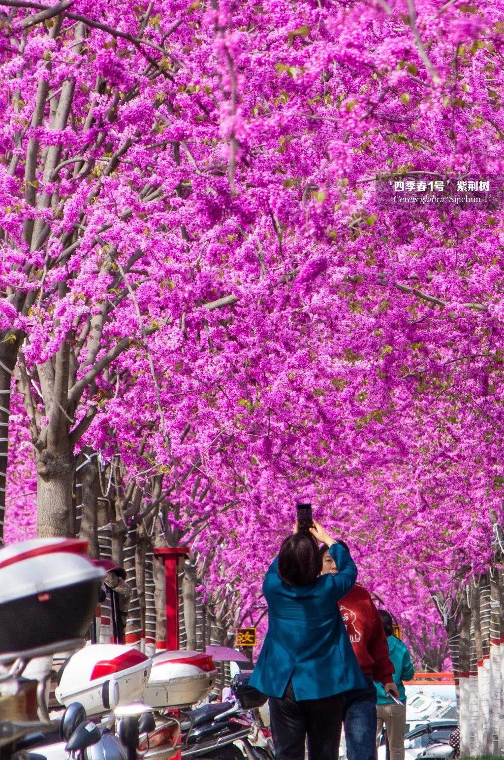 1676341566812163.jpg 微信圖片_20230214102403.jpg