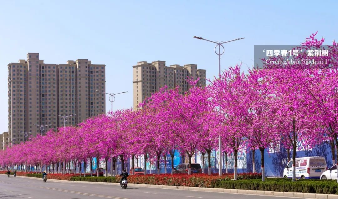 1676341585329622.jpg 微信圖片_20230214102408.jpg