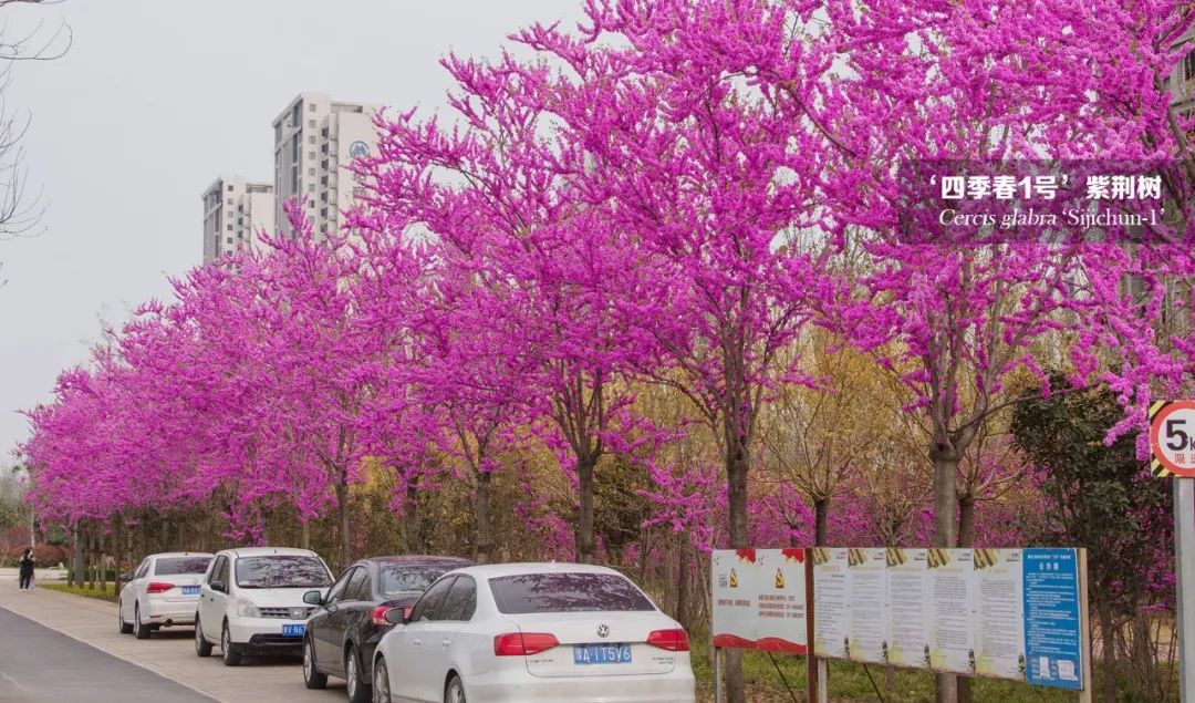 1676341596202817.jpg 微信圖片_20230214102411.jpg