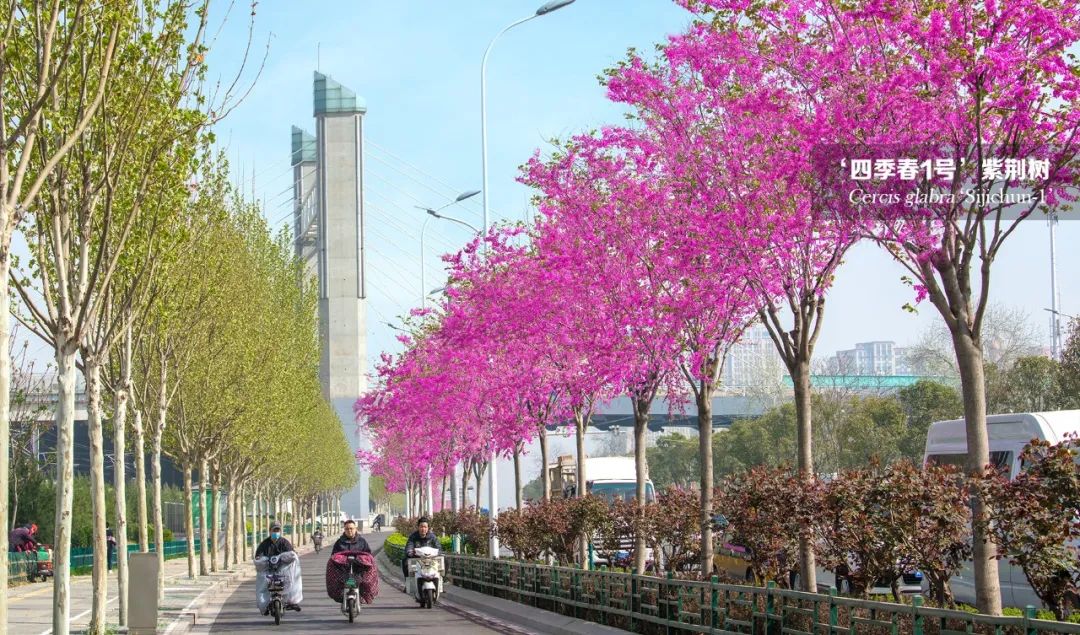 1676341605907760.jpg 微信圖片_20230214102414.jpg