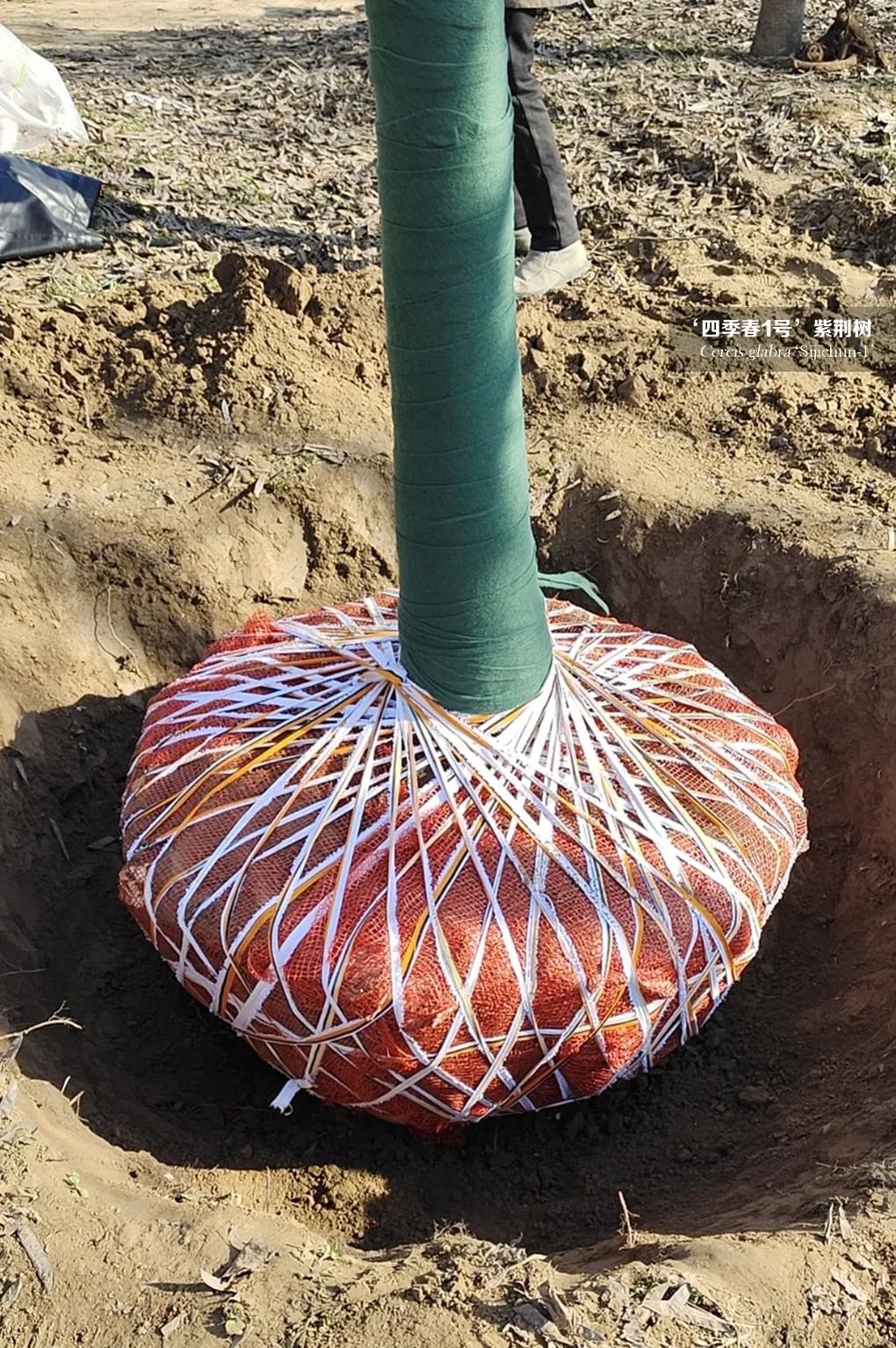 1677207041874471.jpg 微信圖片_20230224103325.jpg