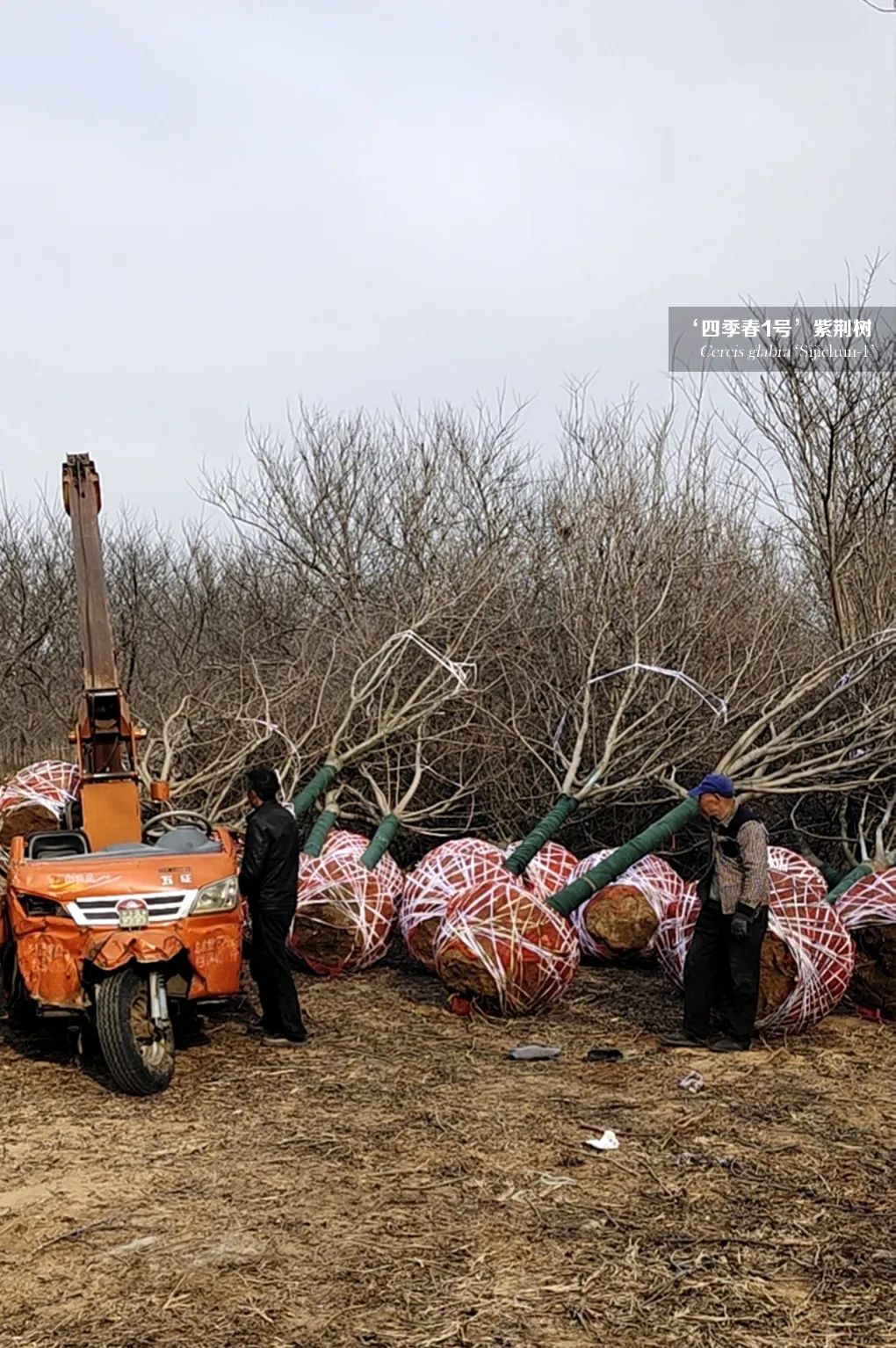 1677207112173467.jpg 微信圖片_20230223092049.jpg