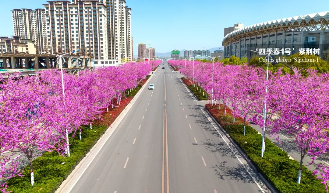 1677207153817618.jpg 微信圖片_20230223092102.jpg