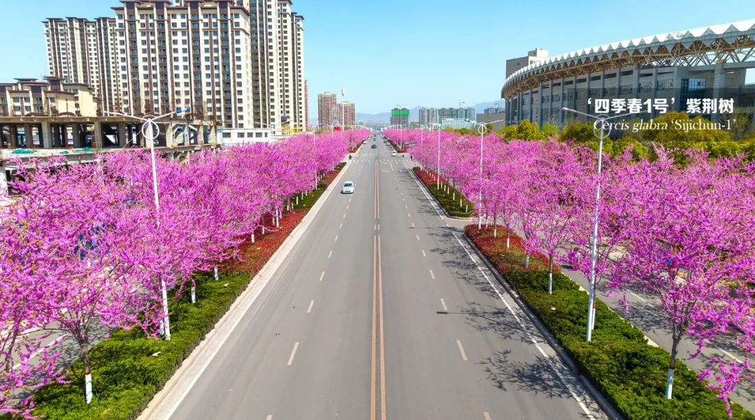 1678871194645842.jpg 微信圖片_20230315165355.jpg