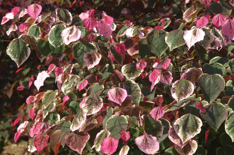 1680847892127010.png 微信圖片_20230407135707.png