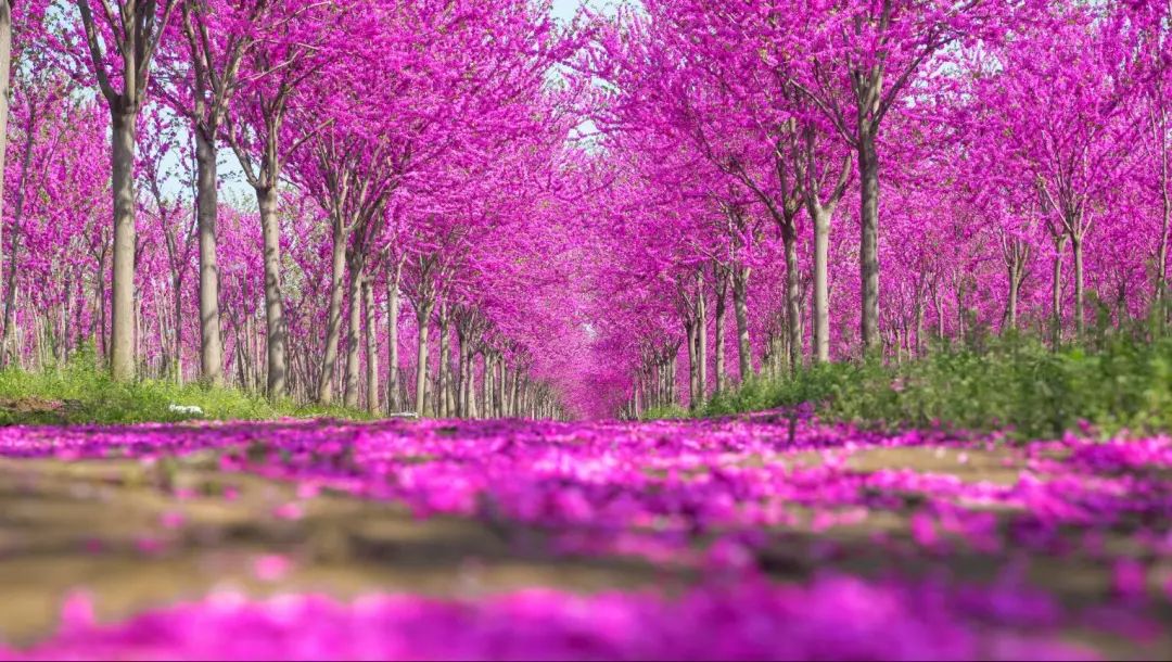 1680847913464483.jpg 微信圖片_20230407135716.jpg