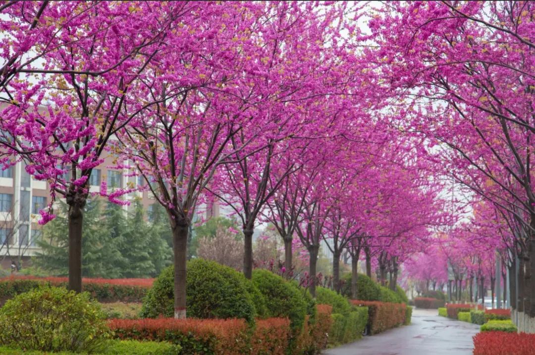 1680847921312377.jpg 微信圖片_20230407135721.jpg