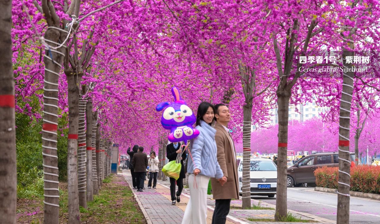 1681113464432158.jpg 微信圖片_20230410153504.jpg